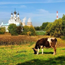 Аватар канала «Замкадье | Подмосковье | Мытищи»
