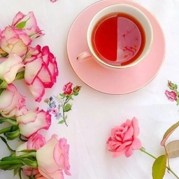 Аватар канала «С Добрым утром | Хорошего дня. Открытки и пожелания доброго утра картинки»