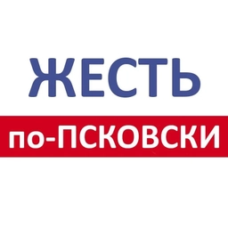 Аватар канала «Жесть по Псковски»