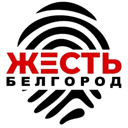 Аватар канала «Жесть Белгород»