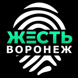 Аватар канала «Жесть Воронеж»