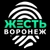Аватар канала «Жесть Воронеж»