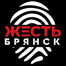Аватар канала «Жесть Брянск»