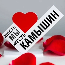 Аватар канала «Жесть. Камышин»