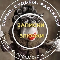 Аватар канала «Записки злючки»