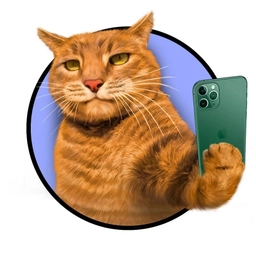 Аватар канала «ЗВЕРИНЕЦ Животные, Юмор, смешные видео»