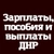 Аватар канала «Зарплаты Выплаты и пособия ДНР - РФ»